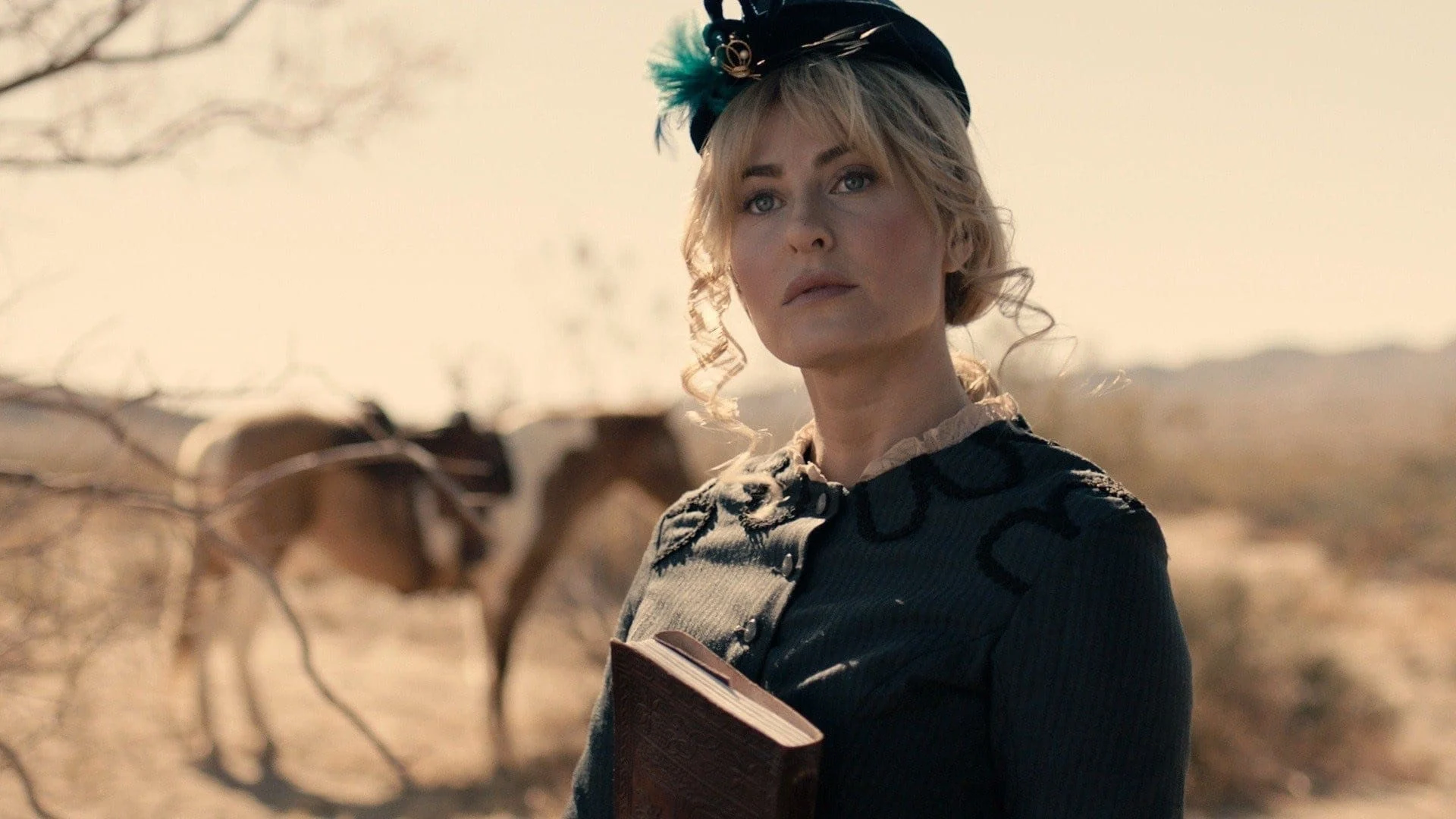 Thị Trấn Vô Pháp Full